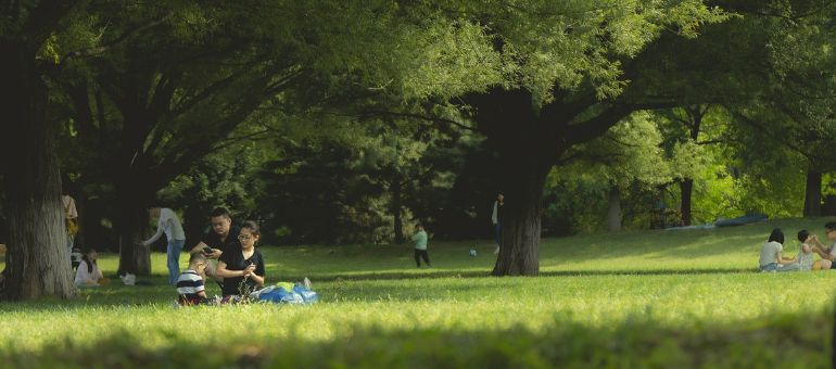 Menschen auf einer Wiese im Park